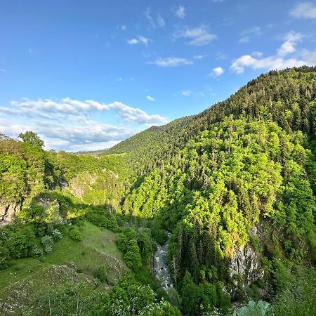 Green Mountain Borjomi Bagian luar foto