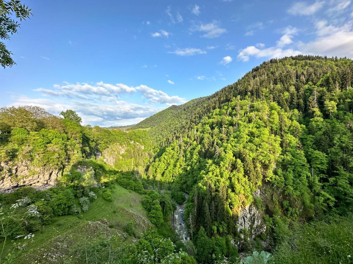 Green Mountain Borjomi Bagian luar foto