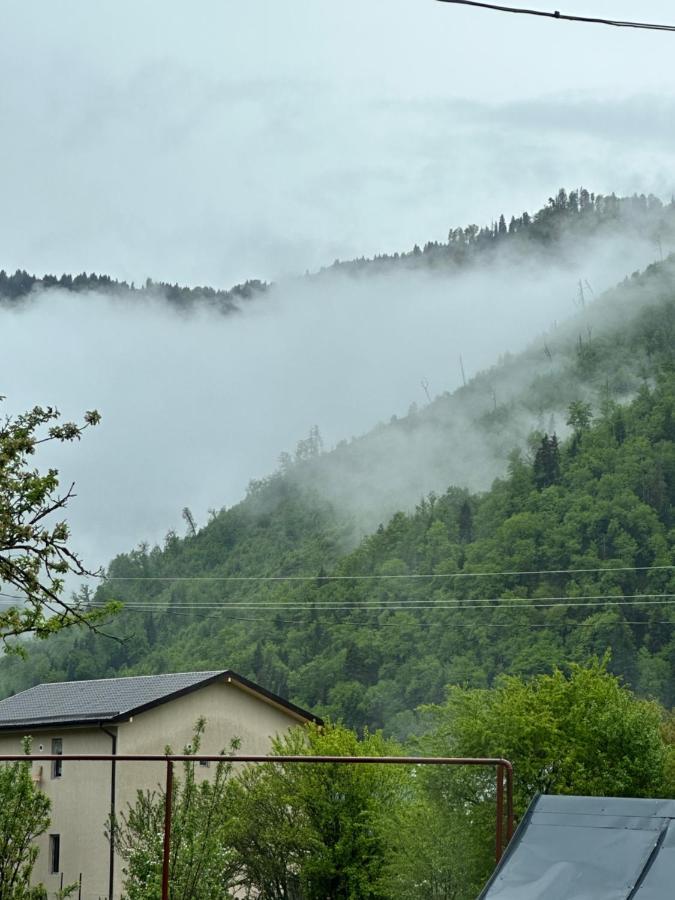 Green Mountain Borjomi Bagian luar foto