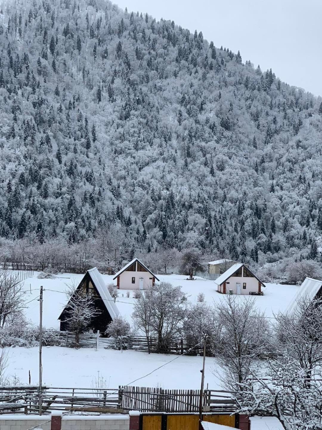 Green Mountain Borjomi Bagian luar foto