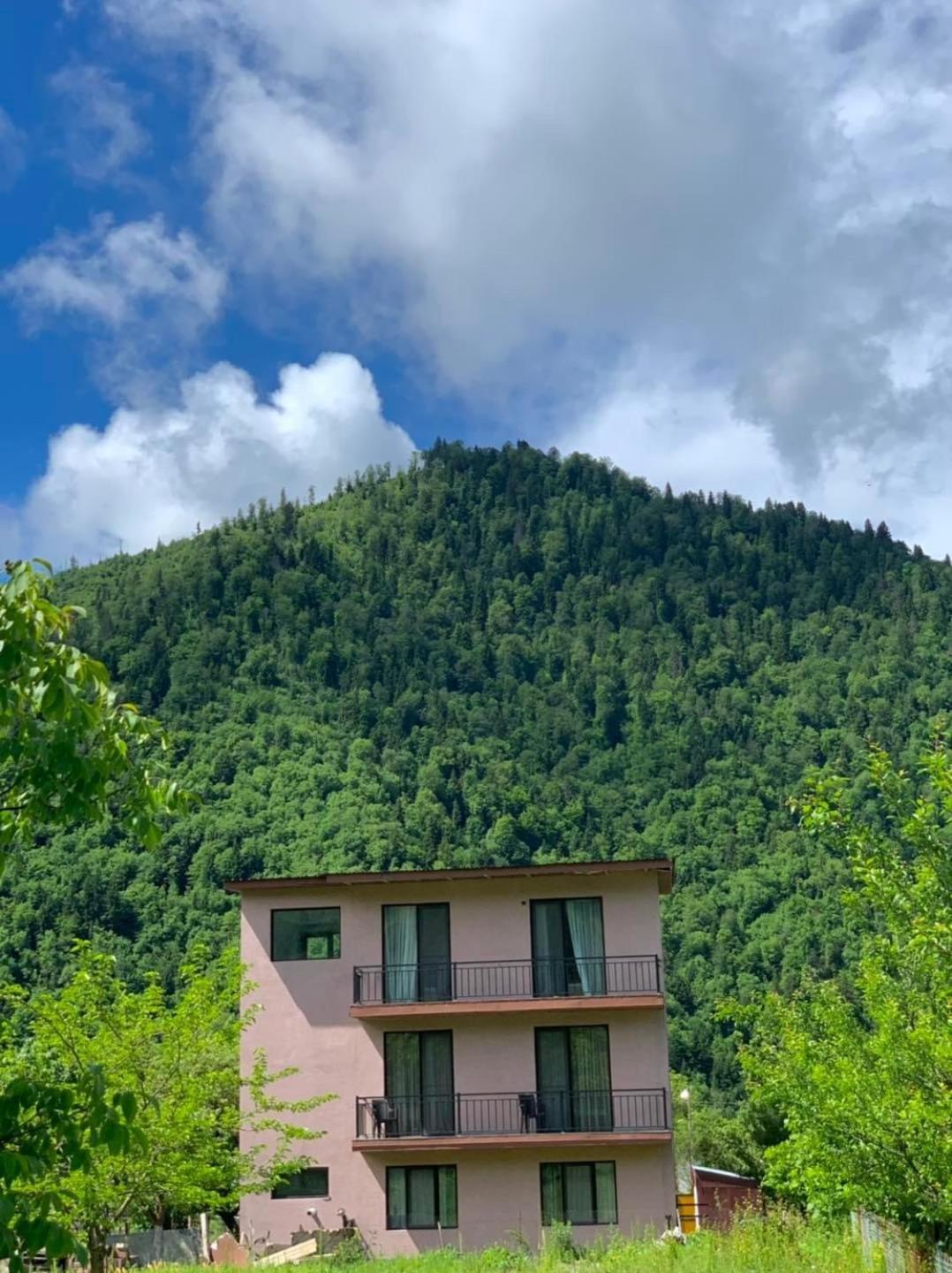 Green Mountain Borjomi Bagian luar foto