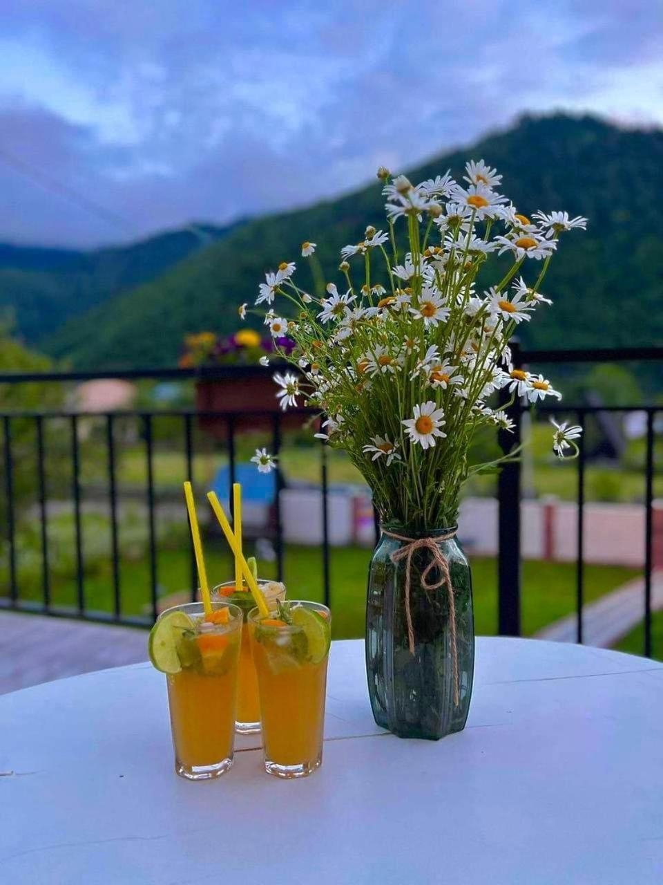 Green Mountain Borjomi Bagian luar foto